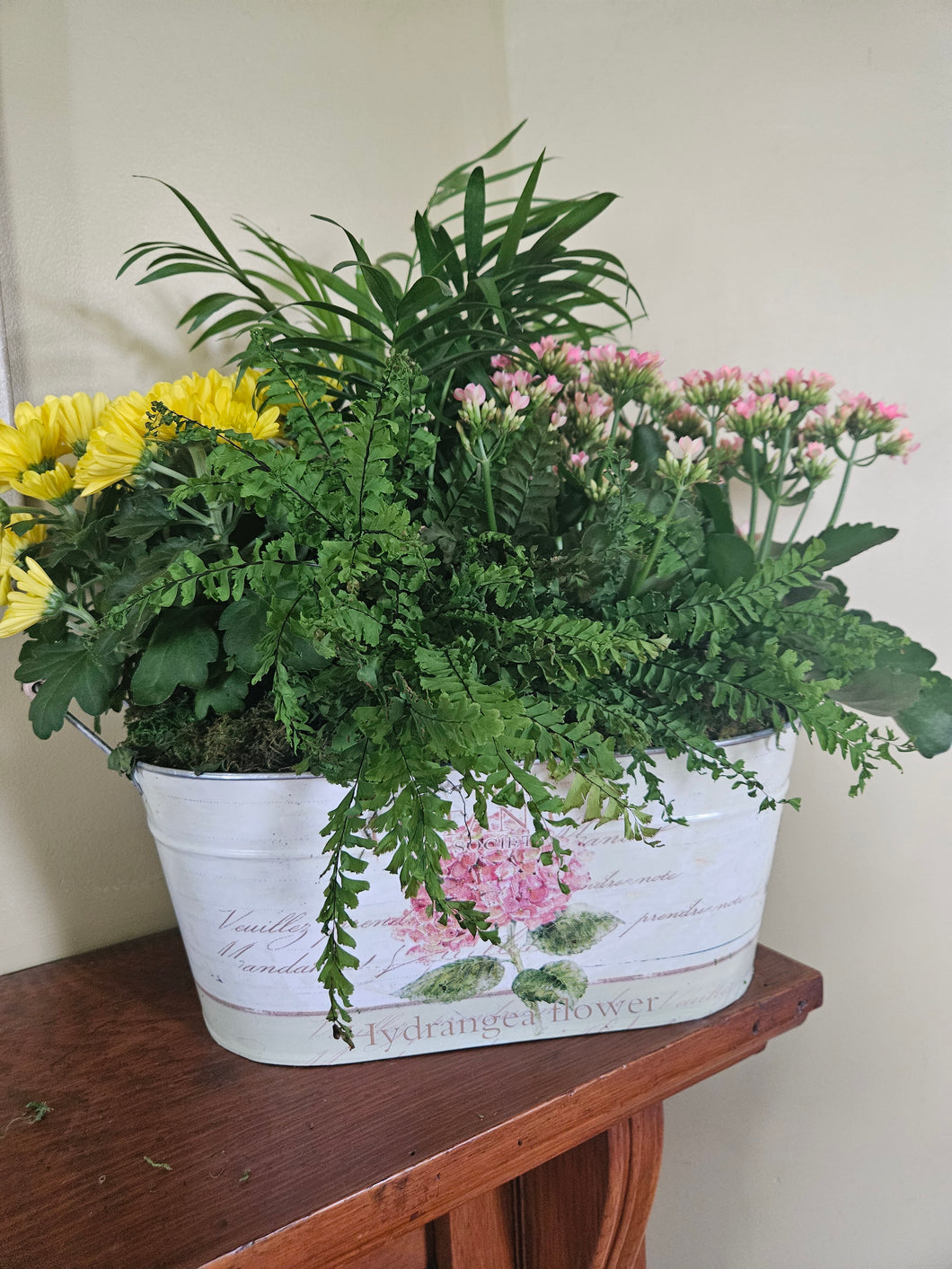 Oblong Hydrangea Container with Kalanchoe & Daisies