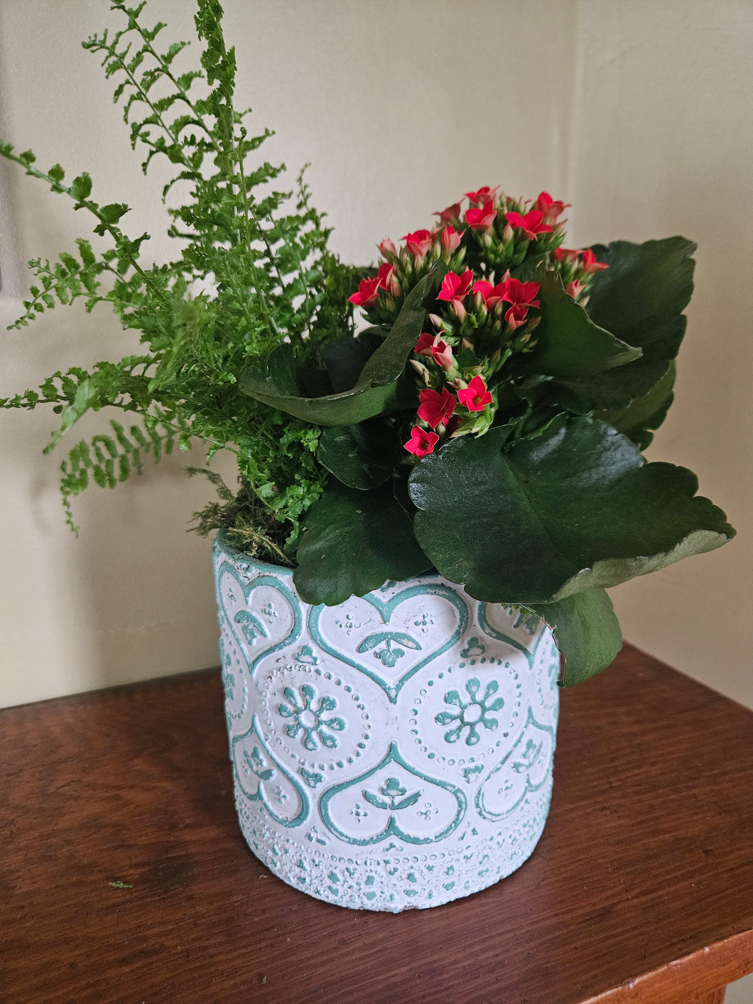 Fern & Kalanchoe in Cement Container