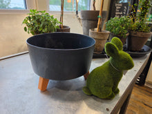 Load image into Gallery viewer, Make & Take Fairy Garden, Saturday June 27, 12-2pm