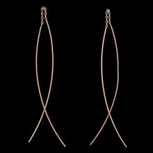 Load image into Gallery viewer, Contemporary Earrings