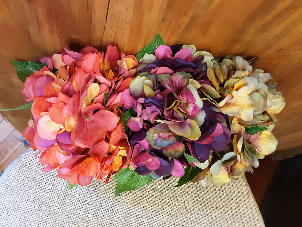 Fall Hydrangeas