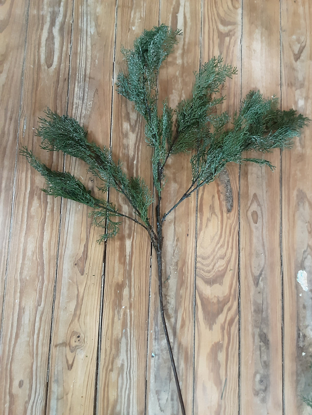 Lightly Snowed Evergreen