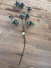Load image into Gallery viewer, Berry Cluster Stems
