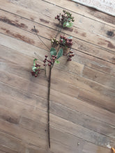 Load image into Gallery viewer, Berry Cluster Stems
