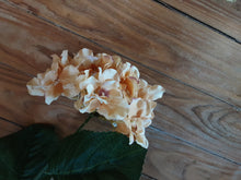 Load image into Gallery viewer, Hydrangea Stem
