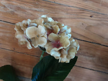 Load image into Gallery viewer, Hydrangea Stem
