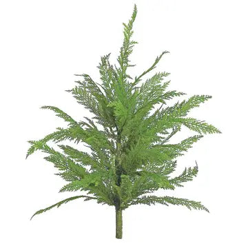 Cedar Bush