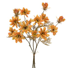 Load image into Gallery viewer, Fall Daisies
