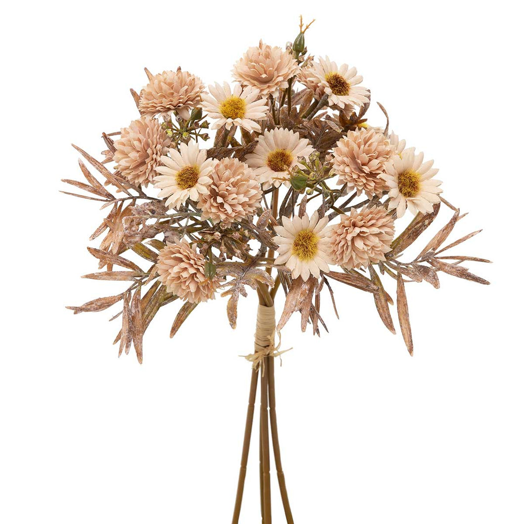 Taupe Mum Bush