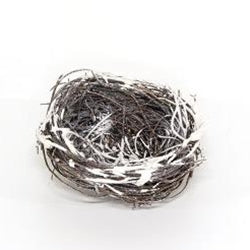 Winter Birdnest