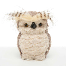 Load image into Gallery viewer, OWL FEATHERED
