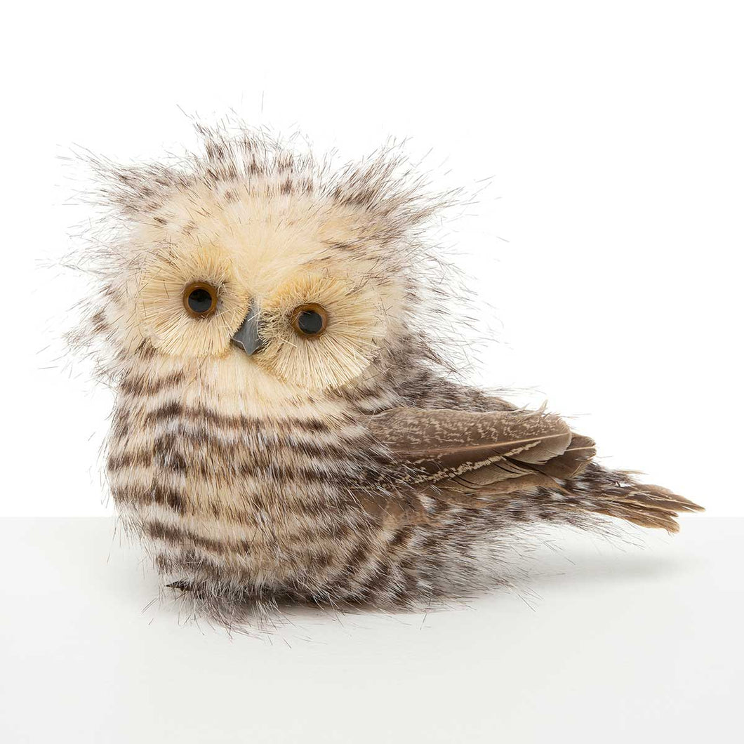 Owlet