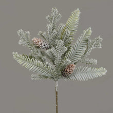 Load image into Gallery viewer, Hemlock Collection
