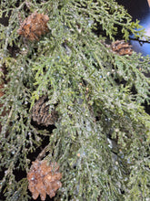 Load image into Gallery viewer, Make &amp; Take - O' Christmas Tree, Saturday, December 5, 2-4pm
