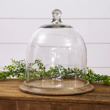 Large Cloche with Wooden Base