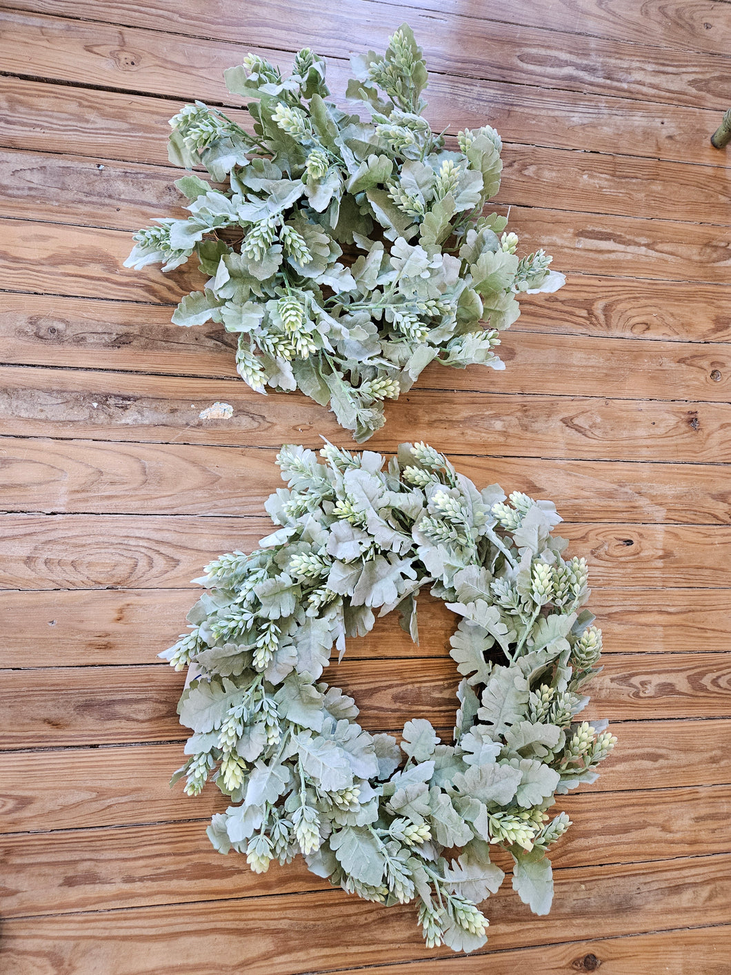 Dusty Miller with Hops Wreath