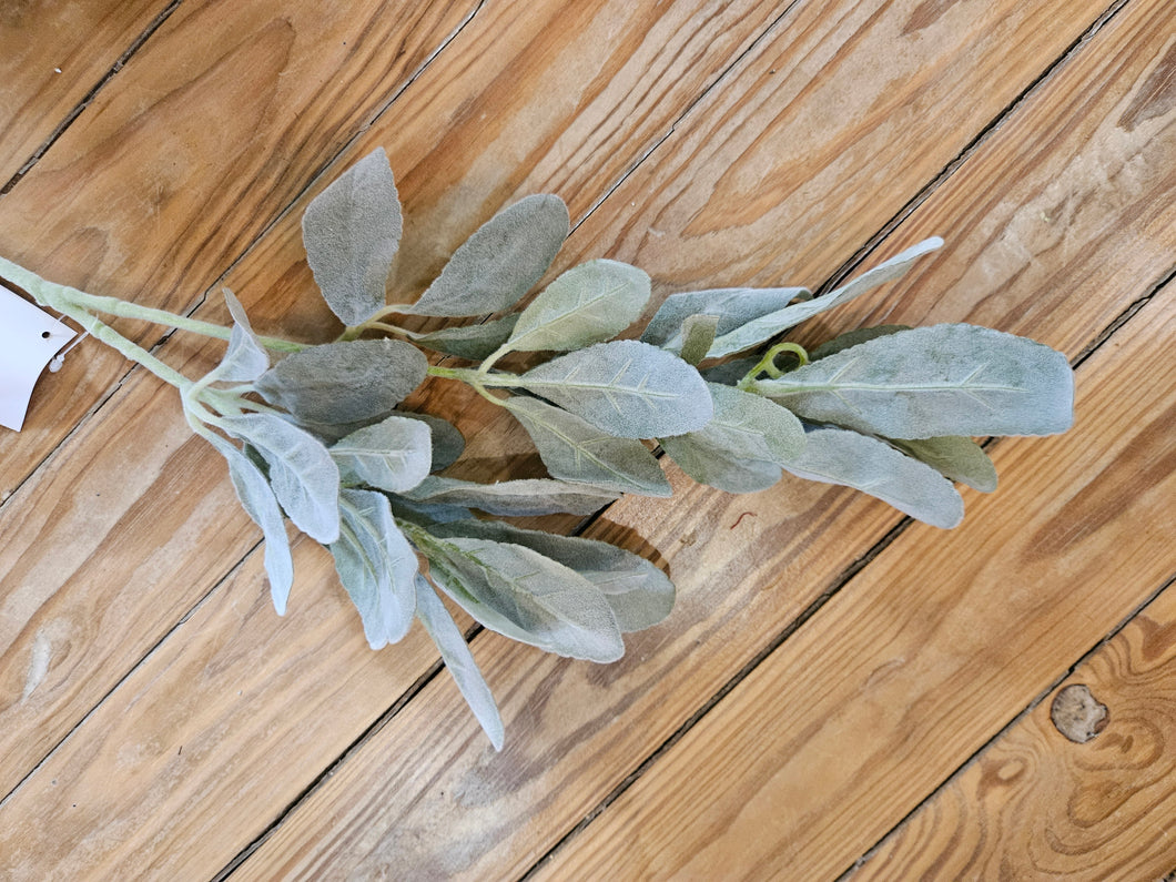 Lambs Ear Spray