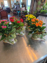 Load image into Gallery viewer, Frog with Kalanchoe
