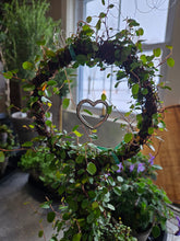 Load image into Gallery viewer, Angel Vine Lollipop Wire
