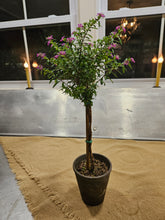 Load image into Gallery viewer, Mexican Heather Topiary
