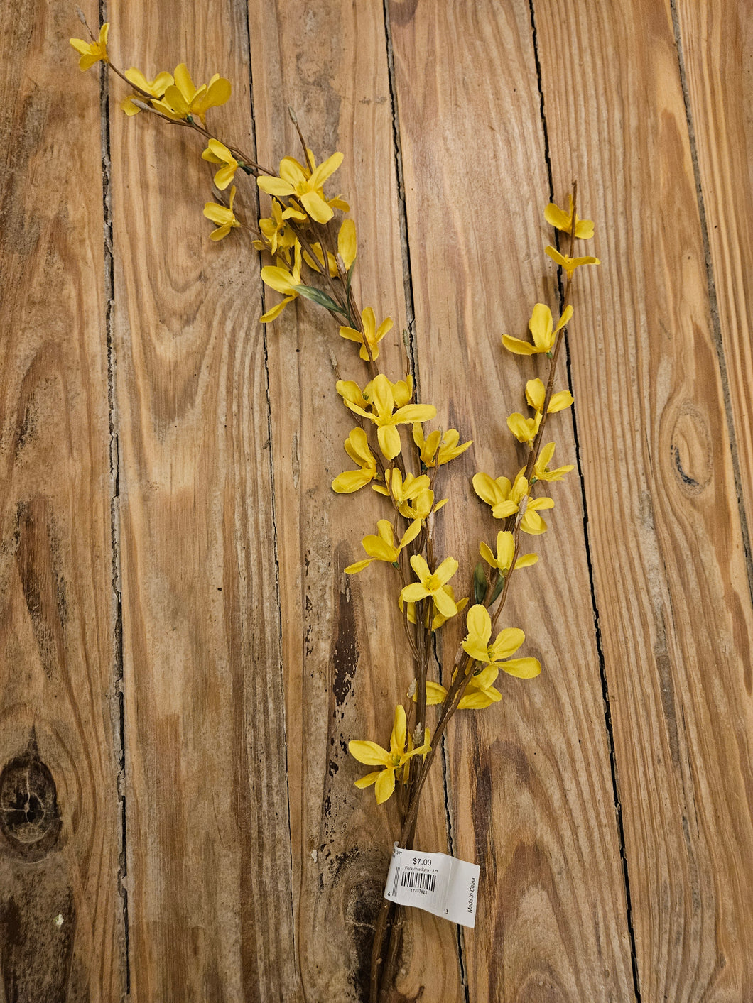 Forsythia Spray 37