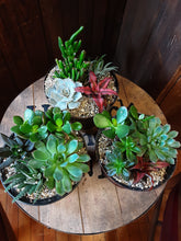 Load image into Gallery viewer, Succulent Gardens
