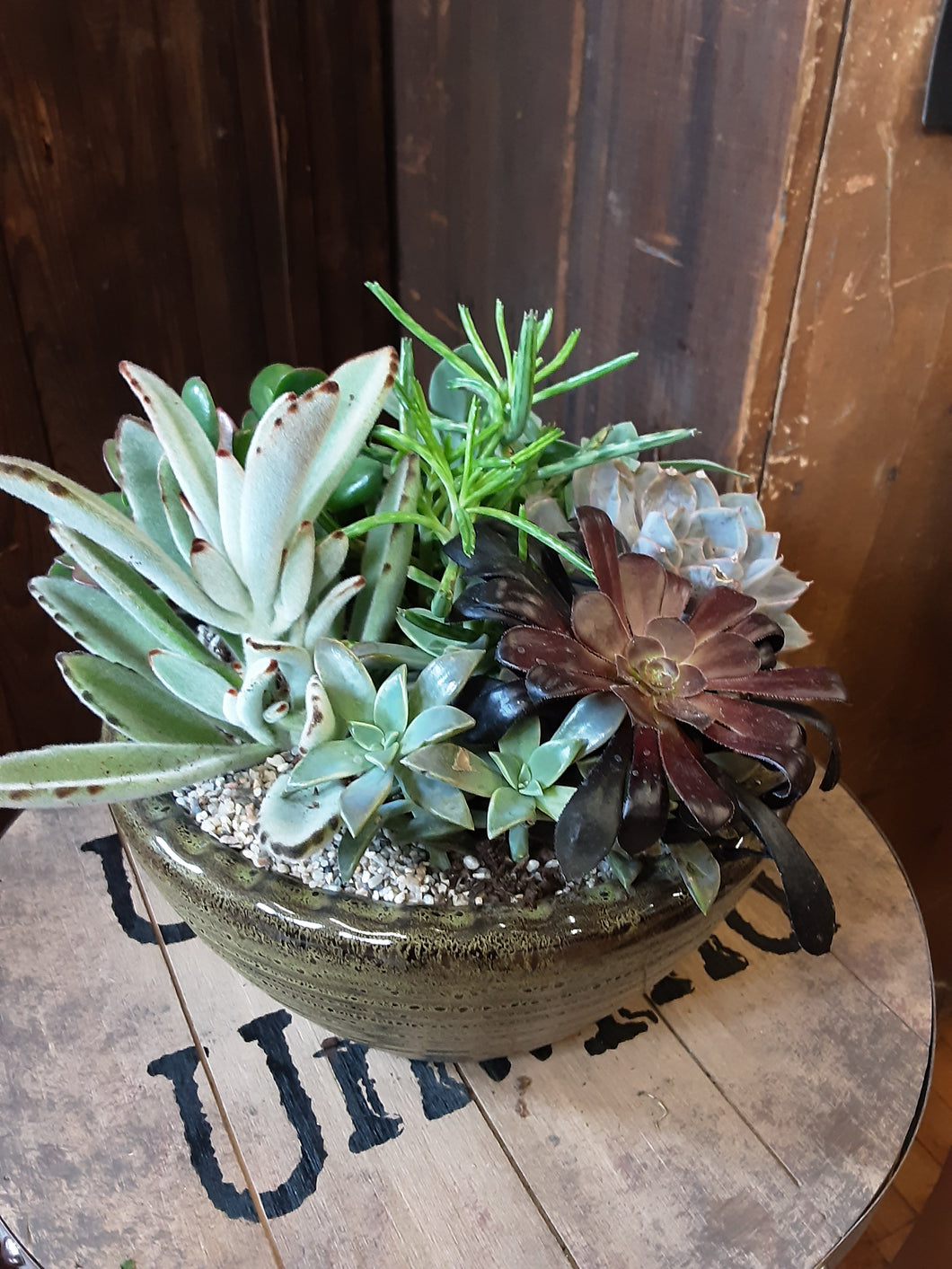 Succulent Gardens