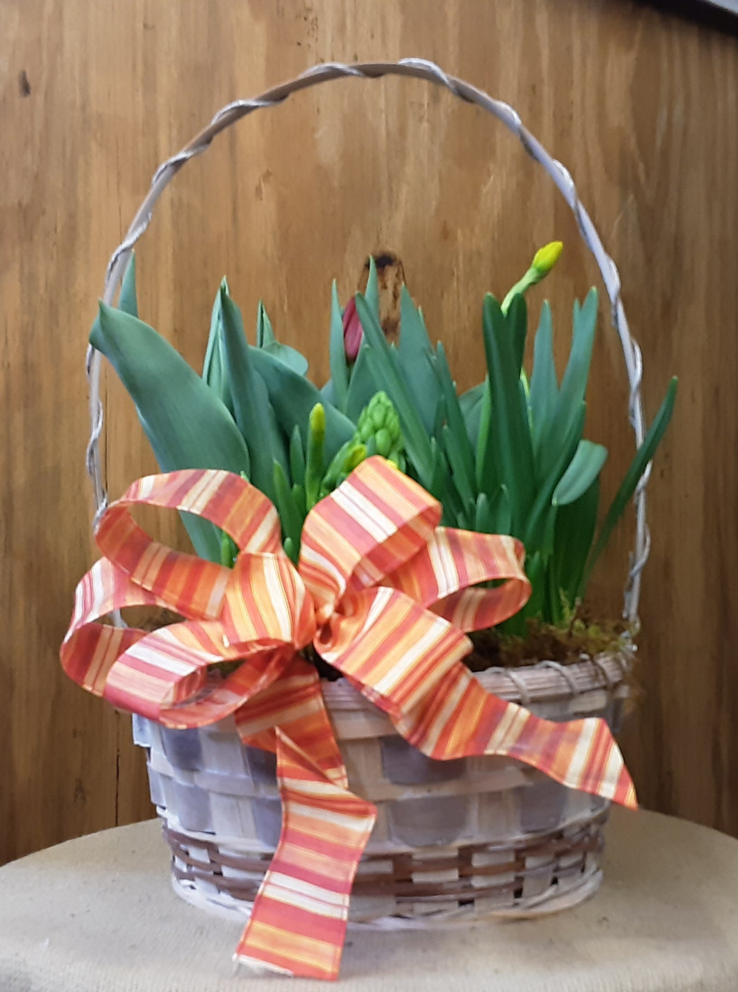 Blooming Bulb Basket