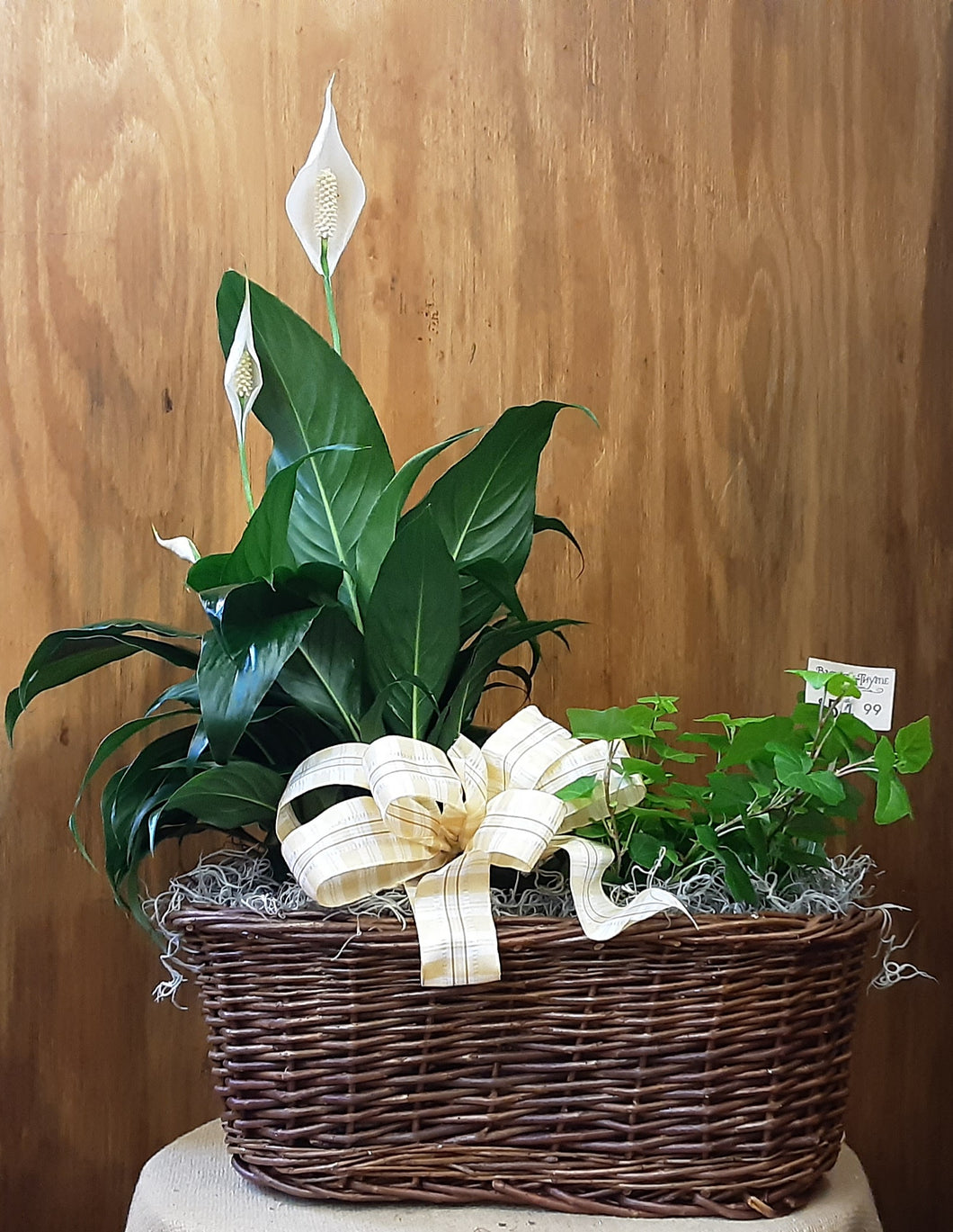 Peace Lily & Ivy Peanut Basket