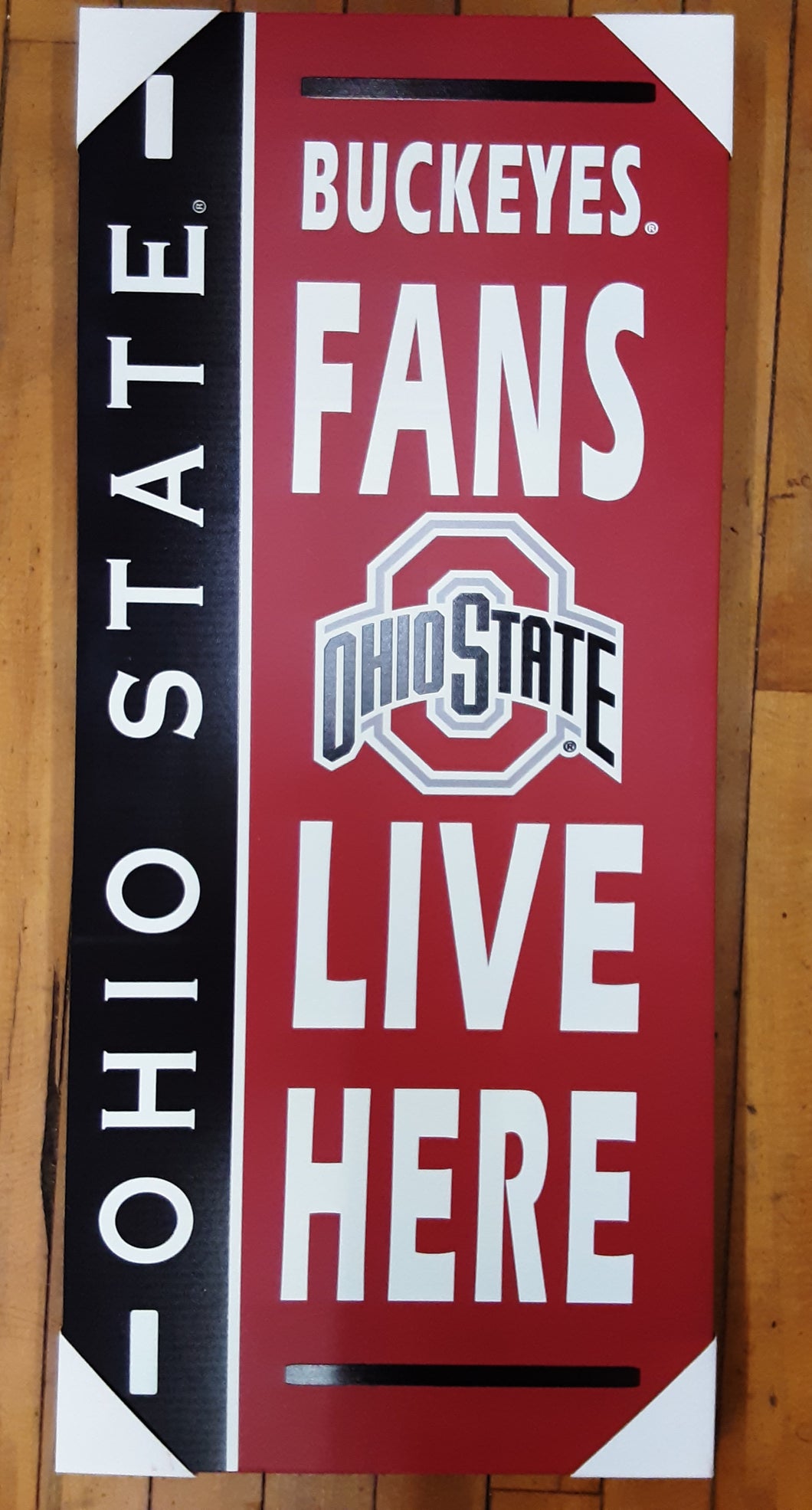 Ohio State Fan Wall Art
