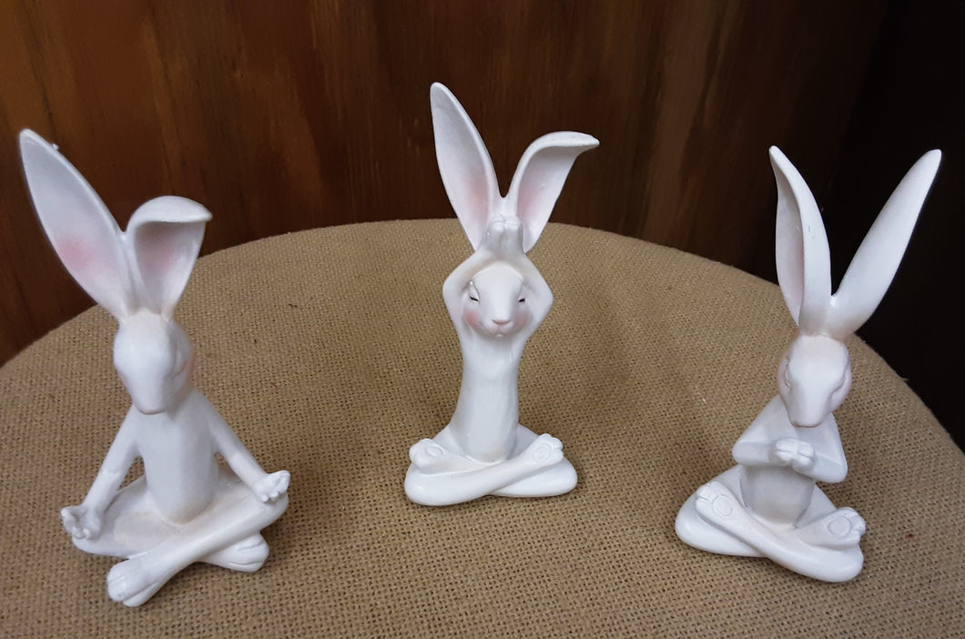 Yoga Bunny