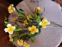 Load image into Gallery viewer, Yellow Primrose Collection
