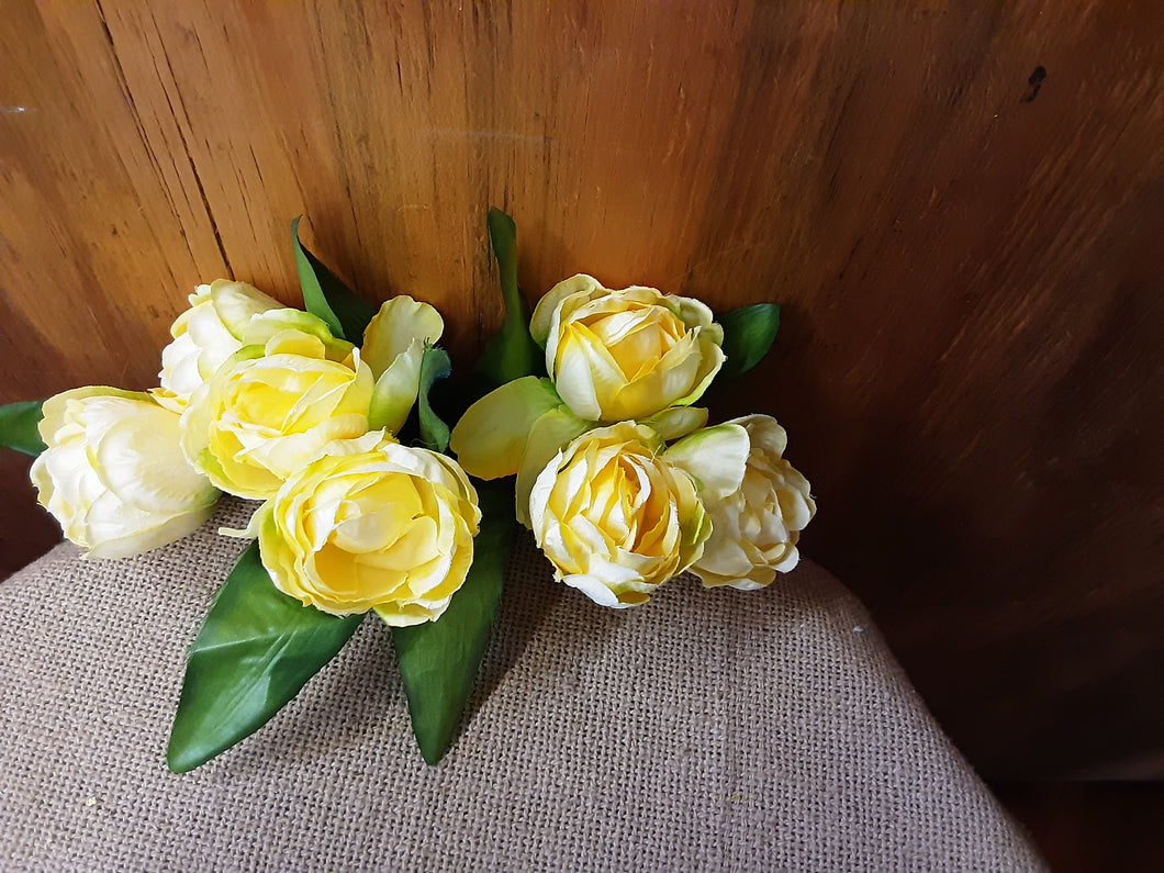 Tulips, Tulips, Tulips