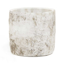 Load image into Gallery viewer, Ceramic White Birch Container
