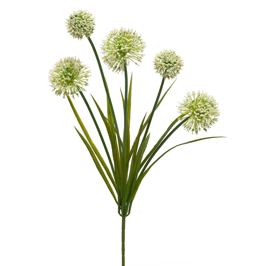 Allium Grass Spray