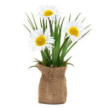 Load image into Gallery viewer, Daisies Wrapped in Burlap
