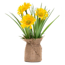 Load image into Gallery viewer, Daisies Wrapped in Burlap

