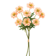 Load image into Gallery viewer, Coreopsis Bundled
