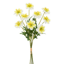 Load image into Gallery viewer, Coreopsis Bundled
