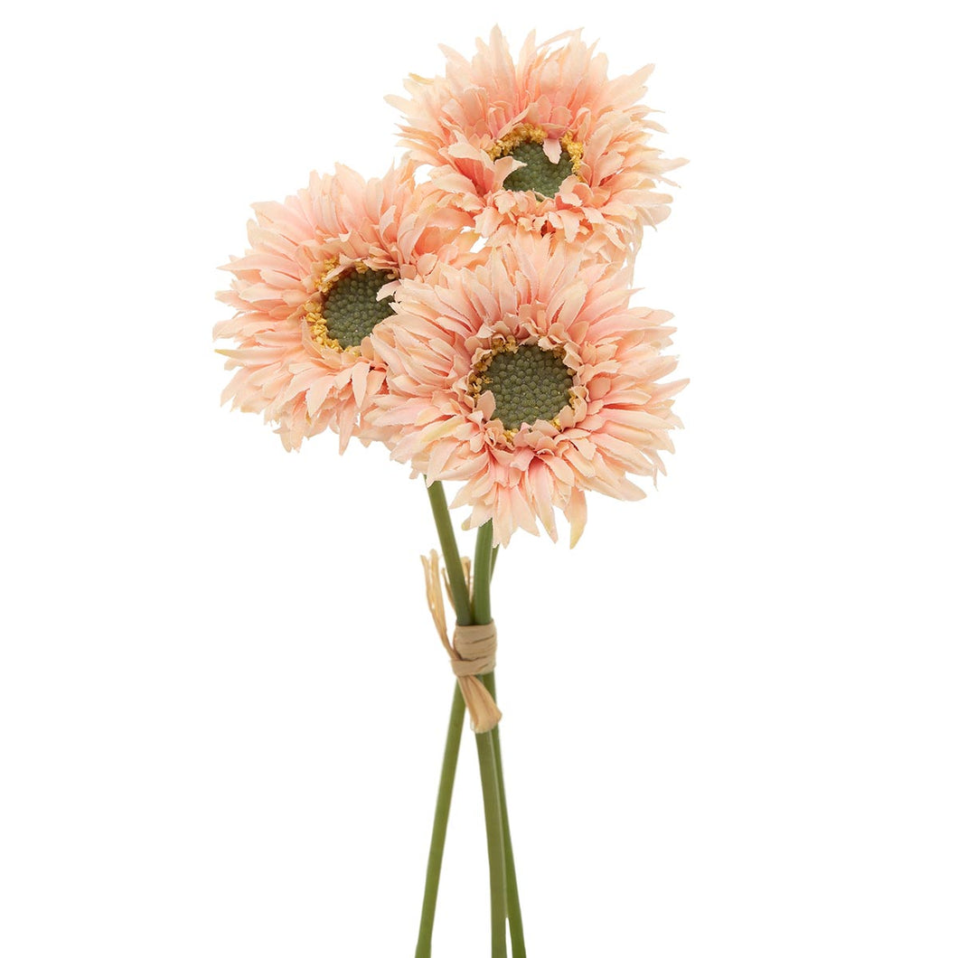 Gerbera Daisy Peach Bundle