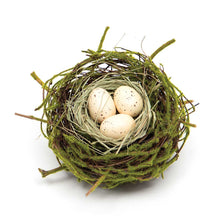 Load image into Gallery viewer, Bird&#39;s Nest with Eggs
