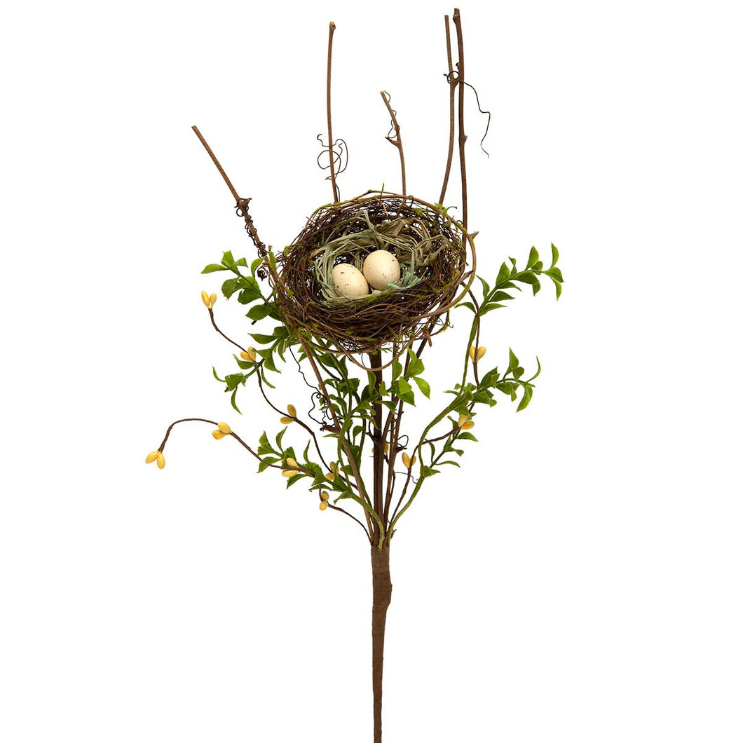 Nest w/ Eggs