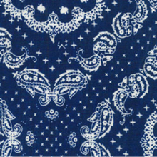 Load image into Gallery viewer, Bandanna Print Sleeveless Dress
