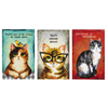 Load image into Gallery viewer, Cat-titude Blocks
