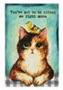 Load image into Gallery viewer, Cat-titude Blocks
